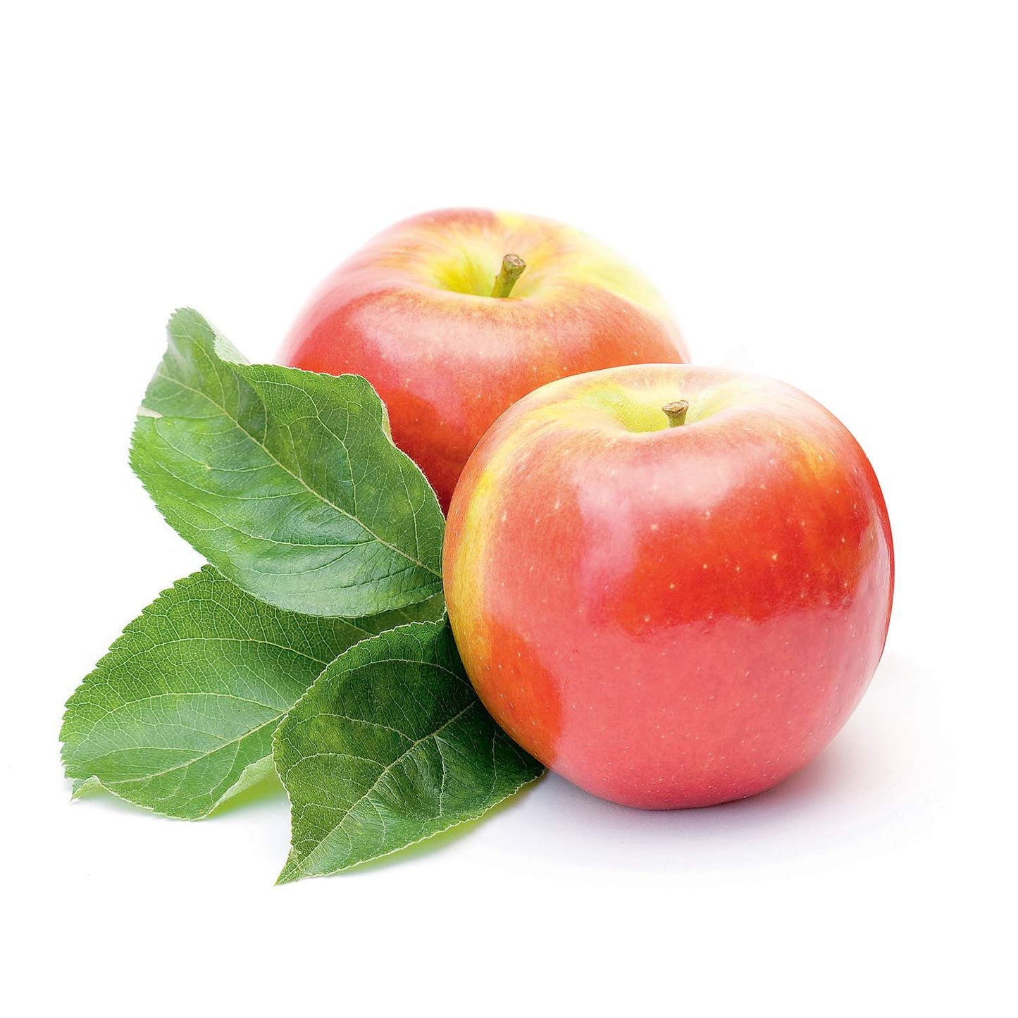 Sveža jabuka Ajdared crvena jabuka za pite i kolače