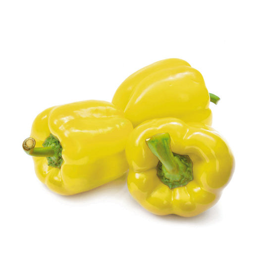 Sveža paprika babura krupnog oblika za punjenje