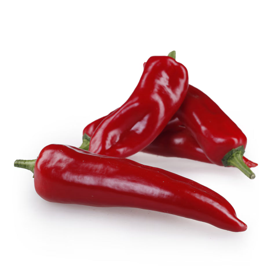 Sveža paprika crvena šilja dugulastog oblika
