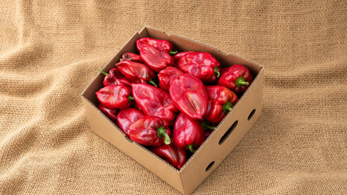 crvena paprika u kutiji