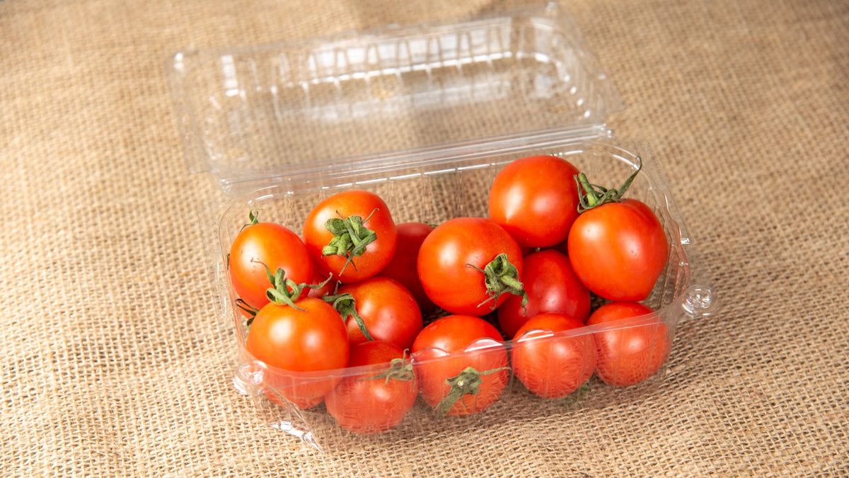 cherry korpica