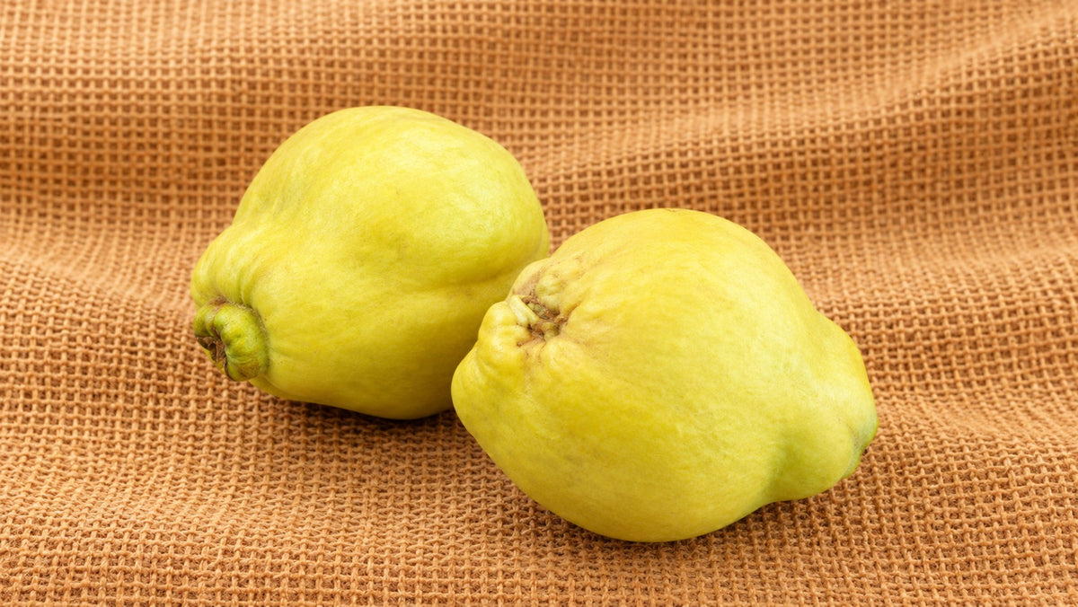 dunje