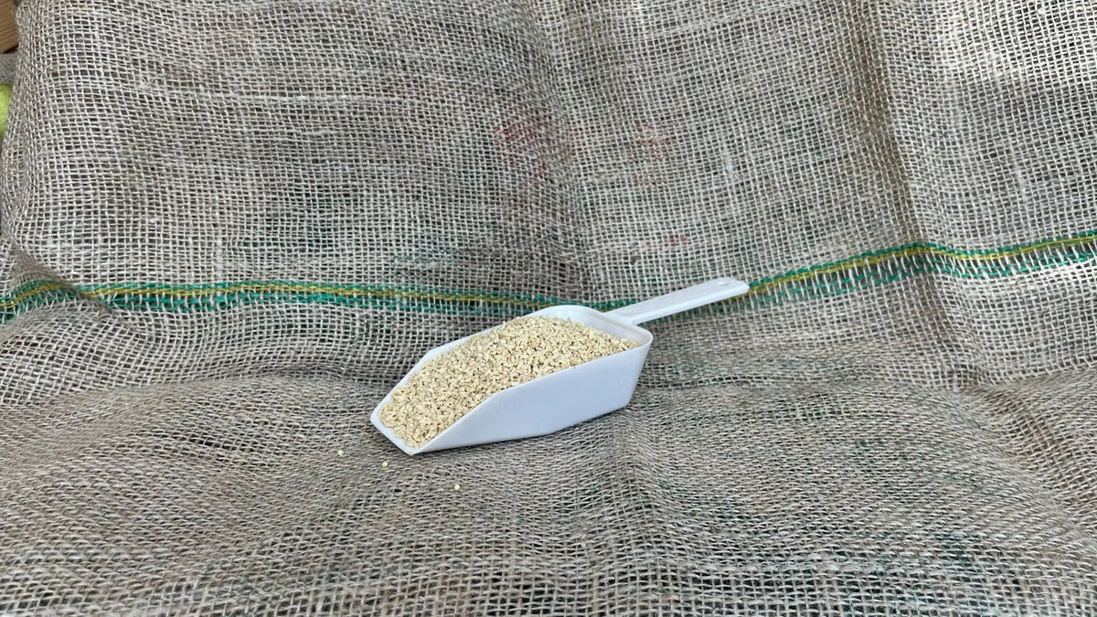 soja ljuspice