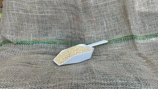 soja ljuspice