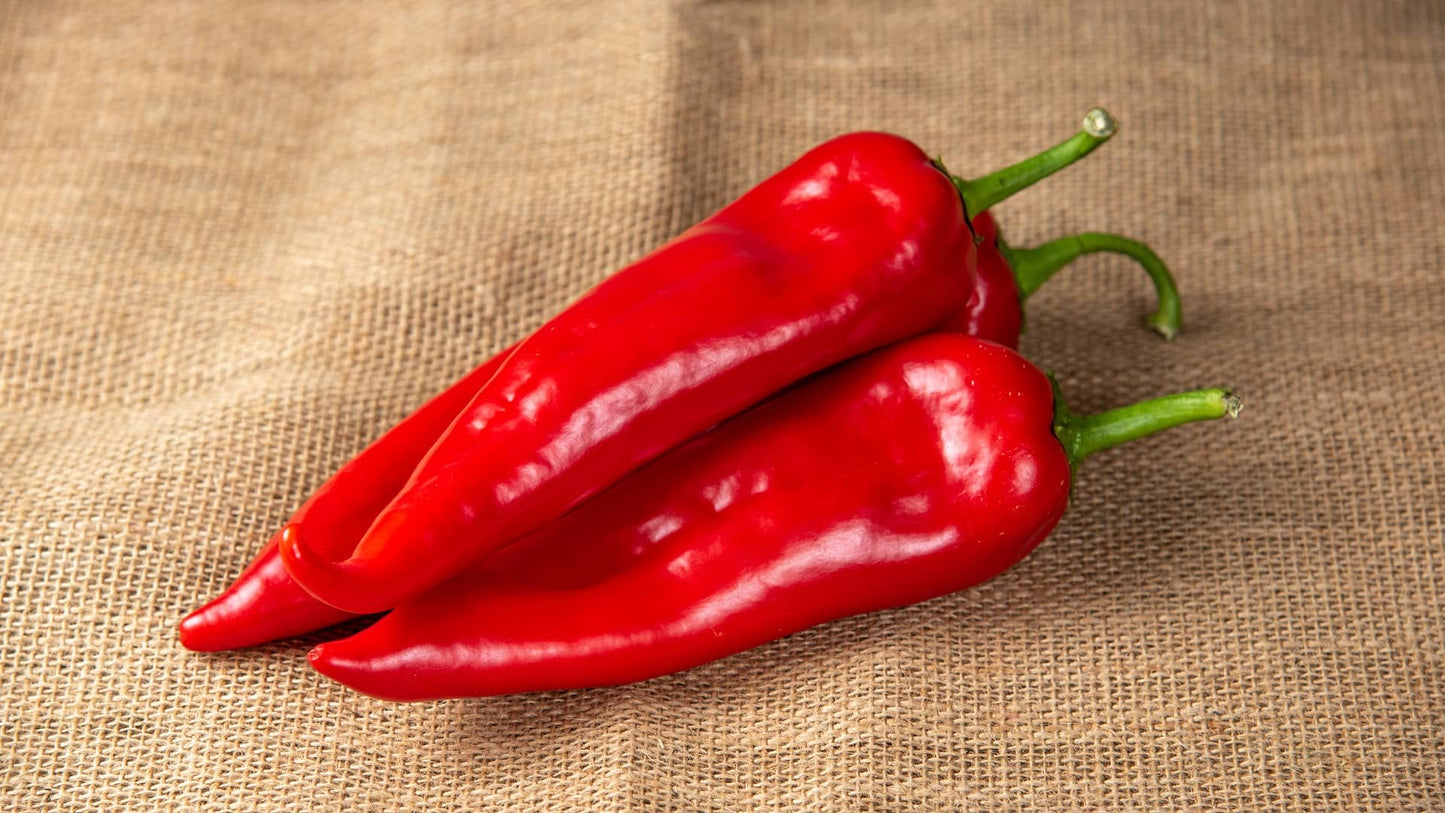 Sveza crvena paprika silja