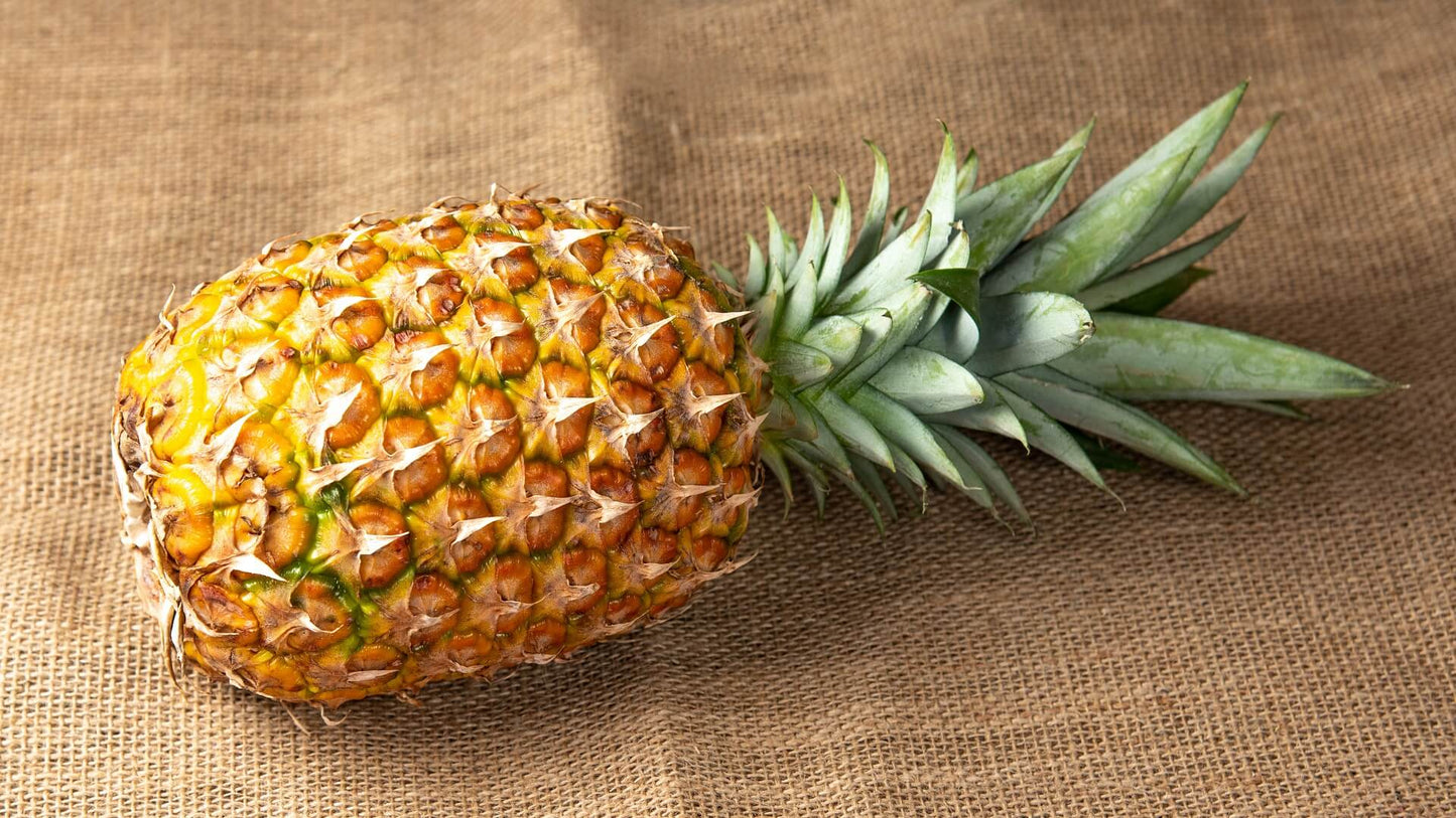 Svež ananas tropsko voće za salate i smutije