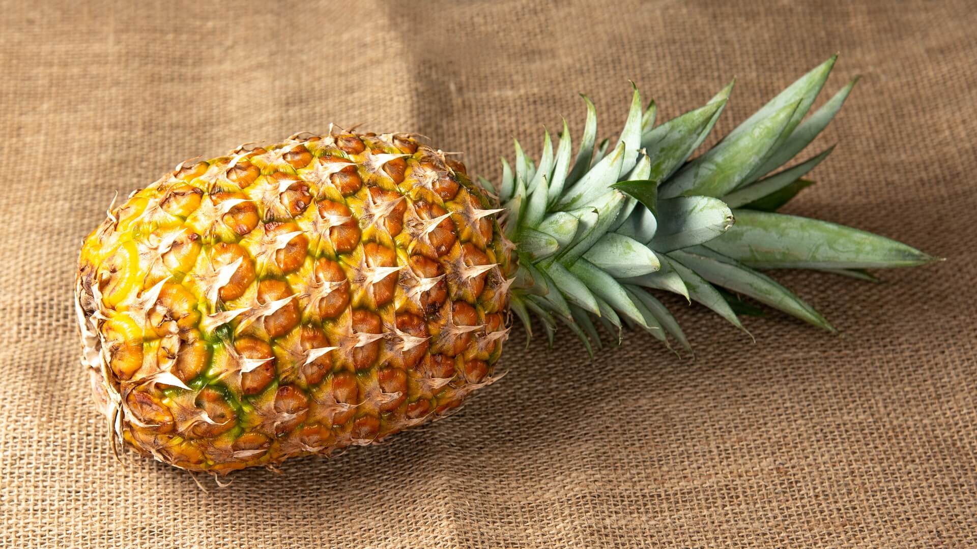 Svež ananas tropsko voće za salate i smutije