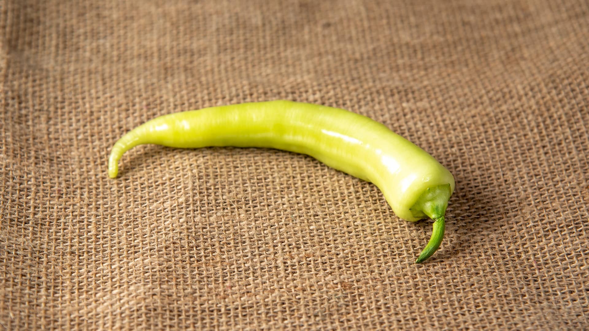 Sveža ljuta paprika zelene ili crvene boje